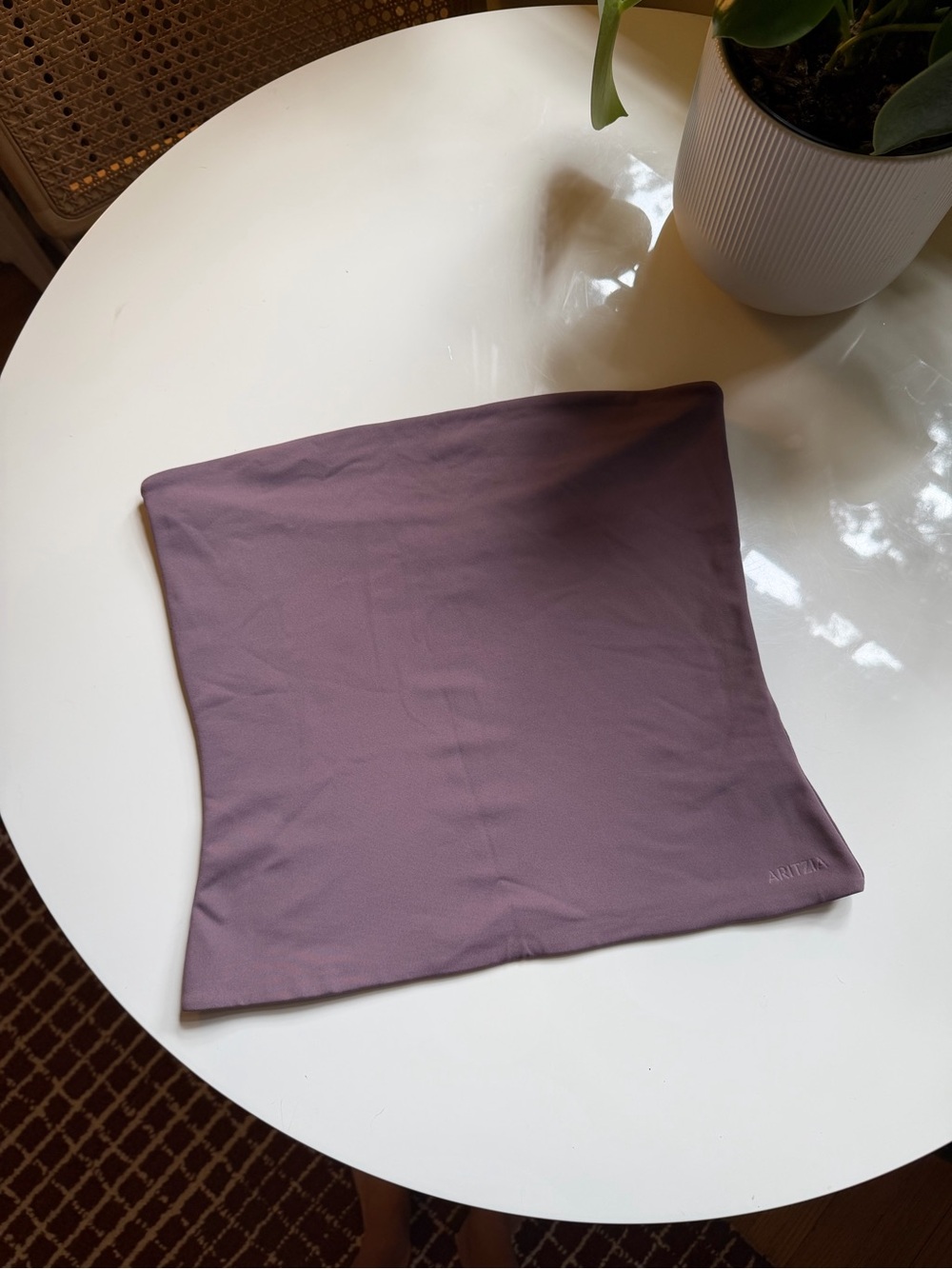 Brown Aritzia Contour Tube Top